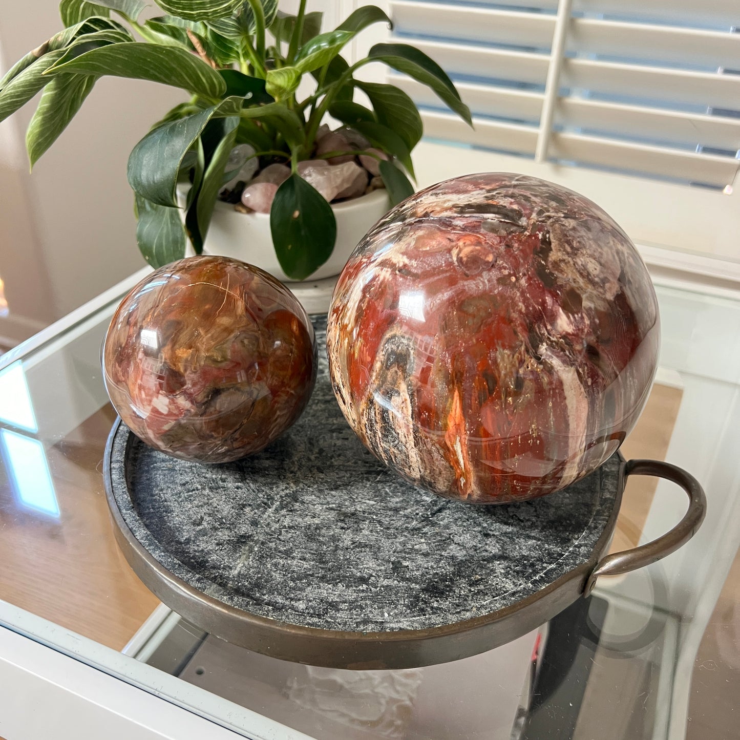 Two polished petrified wood spheres on a dark gray tray with a plant in the background.