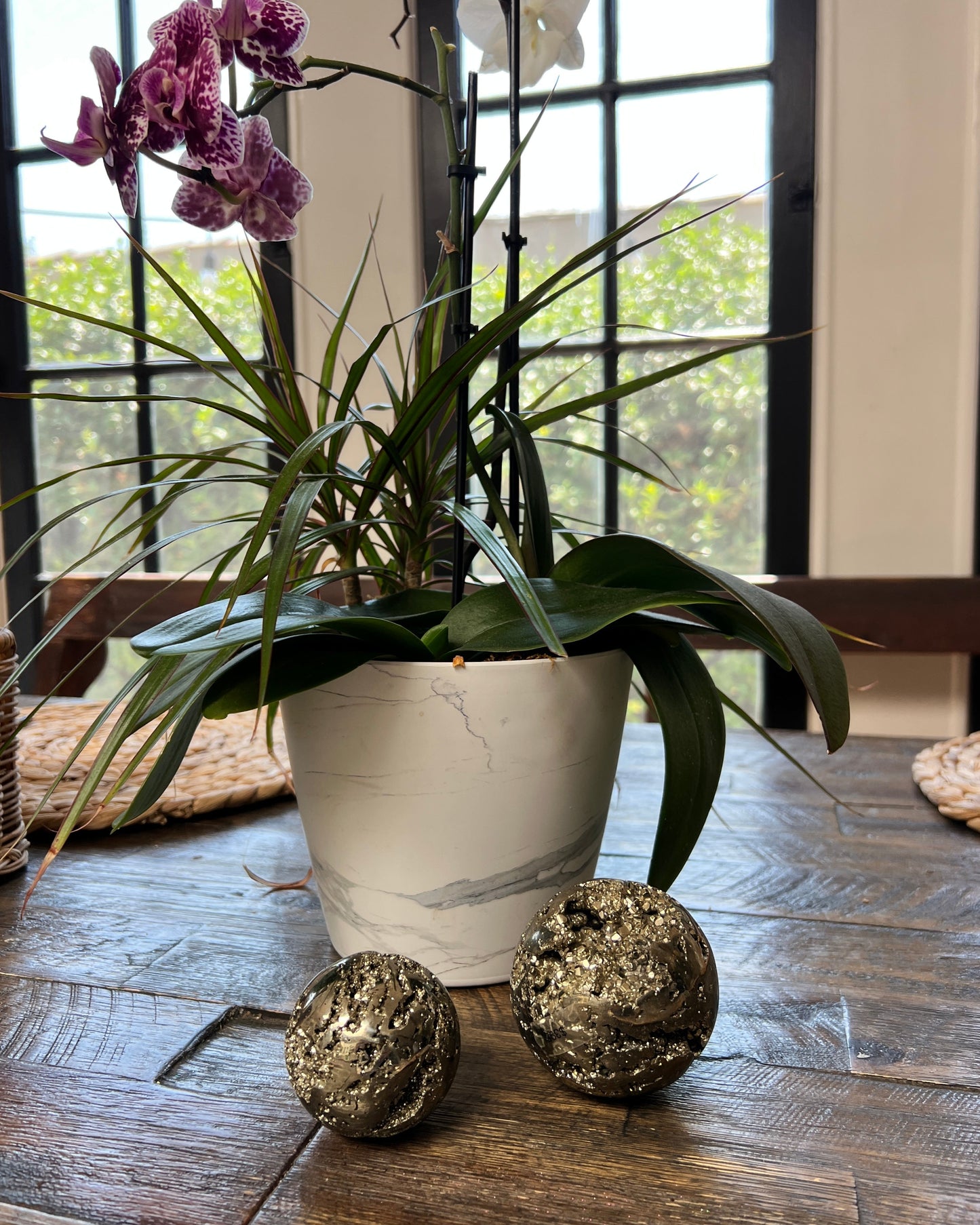 Potted orchid on a wooden table with pyrite spheres and a window in the background