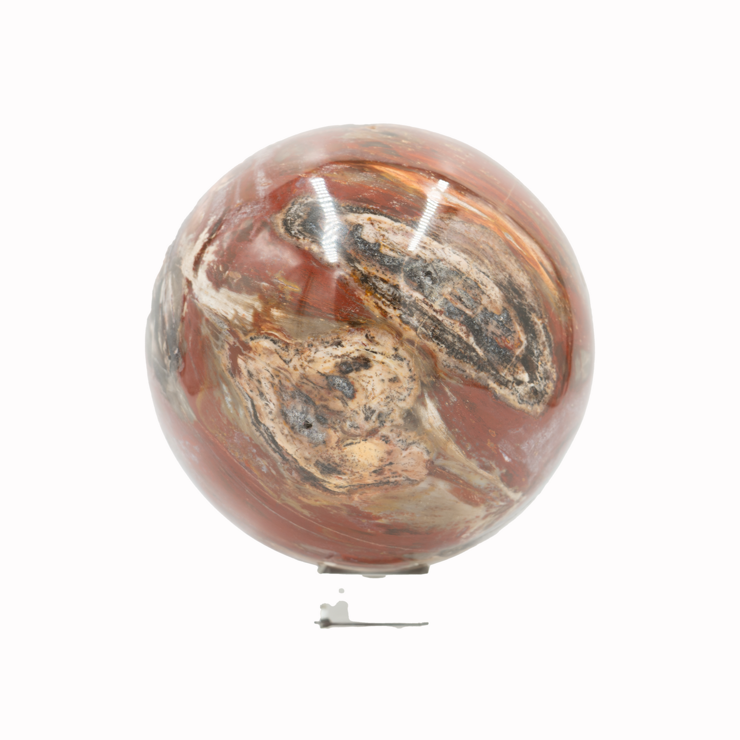 Large Petrified Wood 19" Sphere