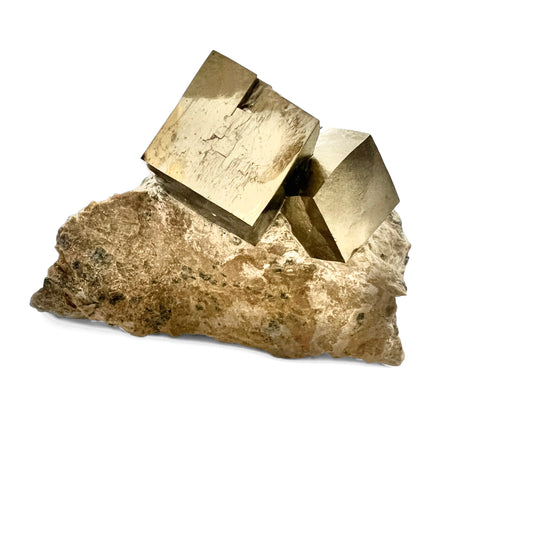 Gold pyrite crystals on a rock with a white background