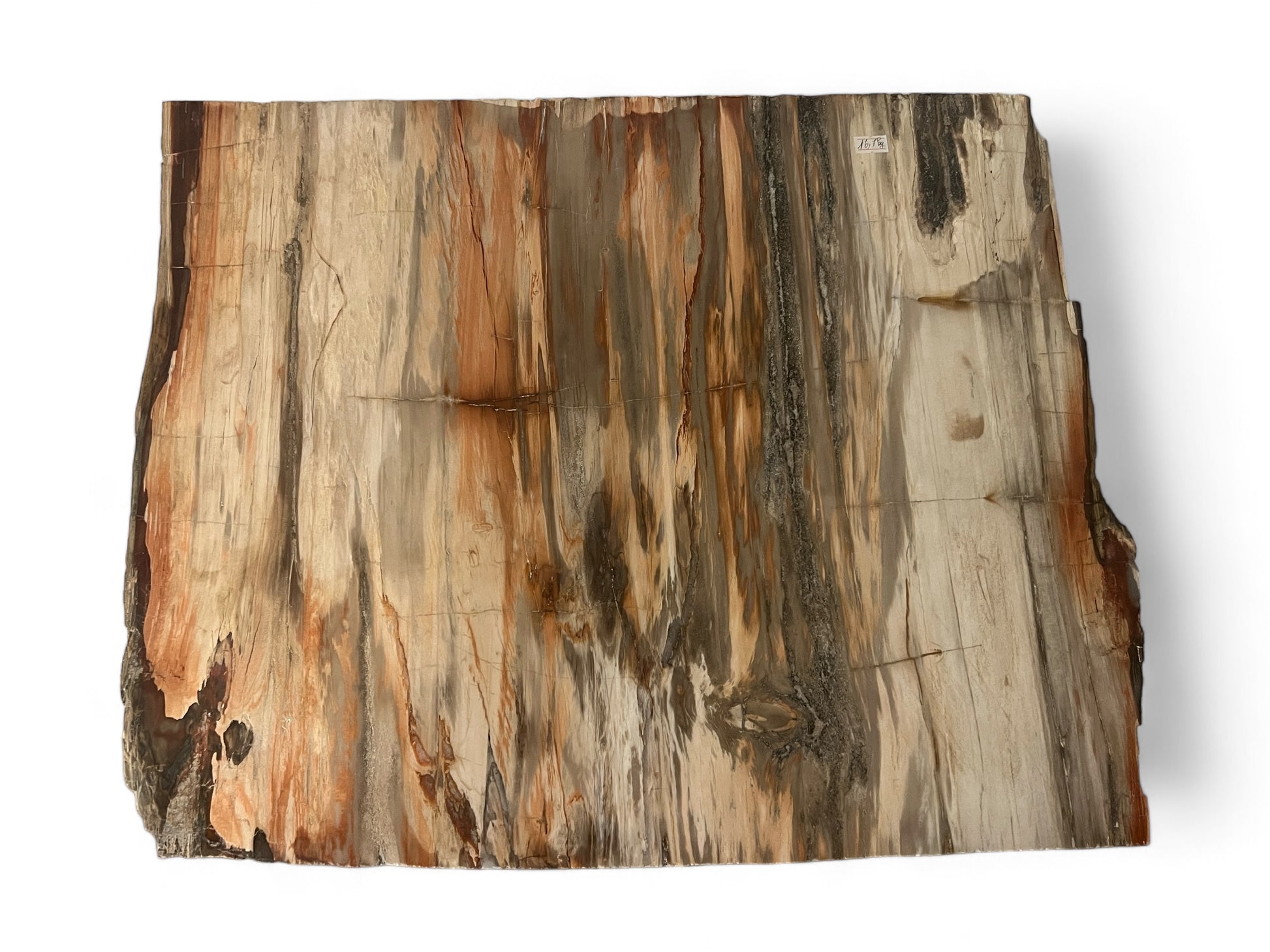 XL square petrified wood platter with raw edge detailing, showcasing natural grain in warm earth tones.