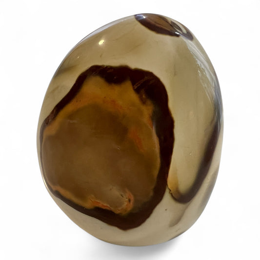 Polished stone with the look of modern art in natural earth tones, with prominent orange and brown circle outlined by dark brown on a white background