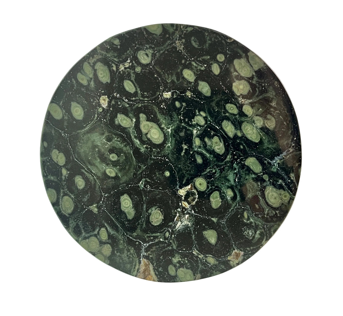 Coasters Crocodile Jasper - Set of 4