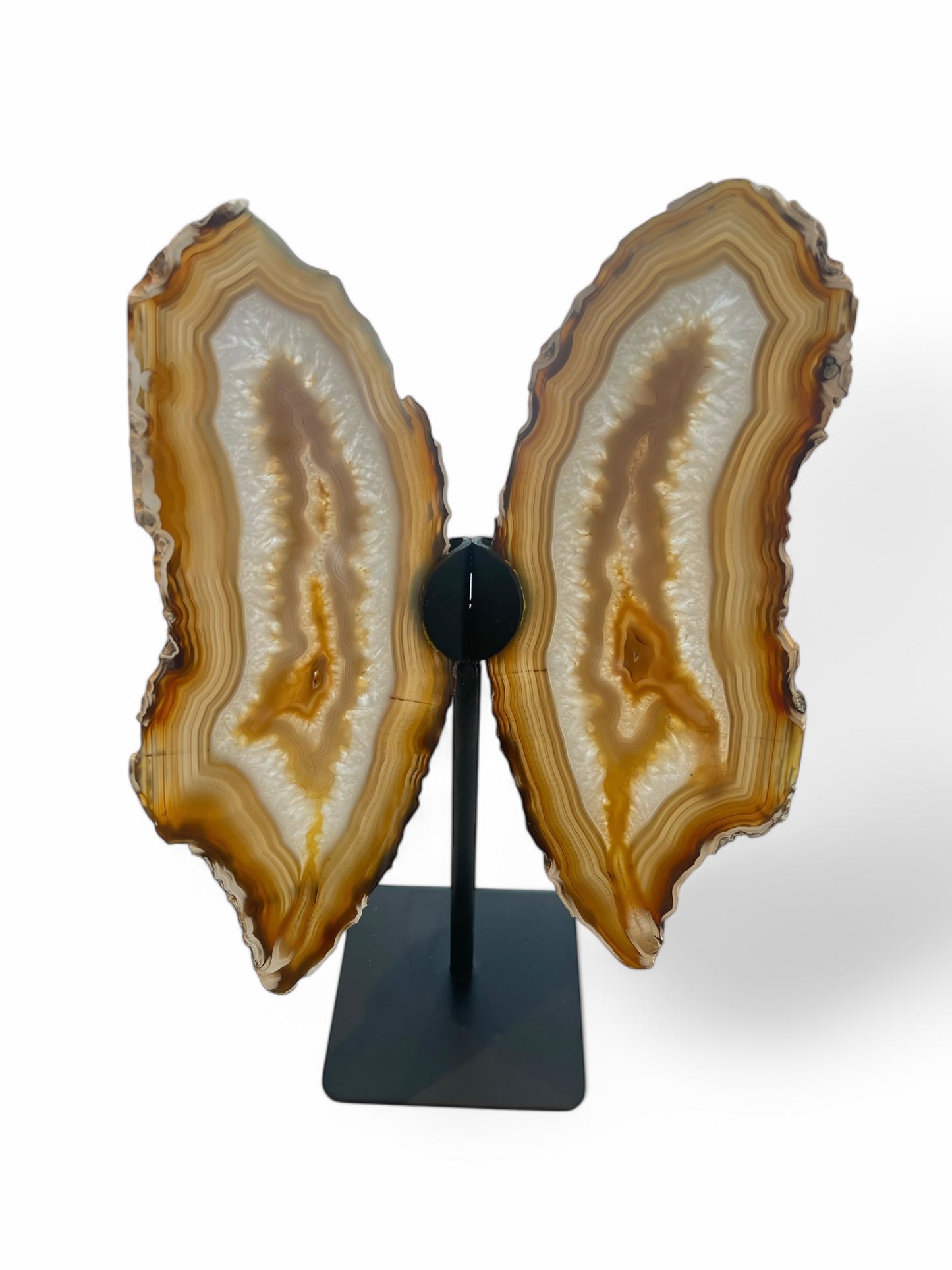 Natural agate slices mounted on a black stand, resembling butterfly wings, with golden tones and patterned bands.