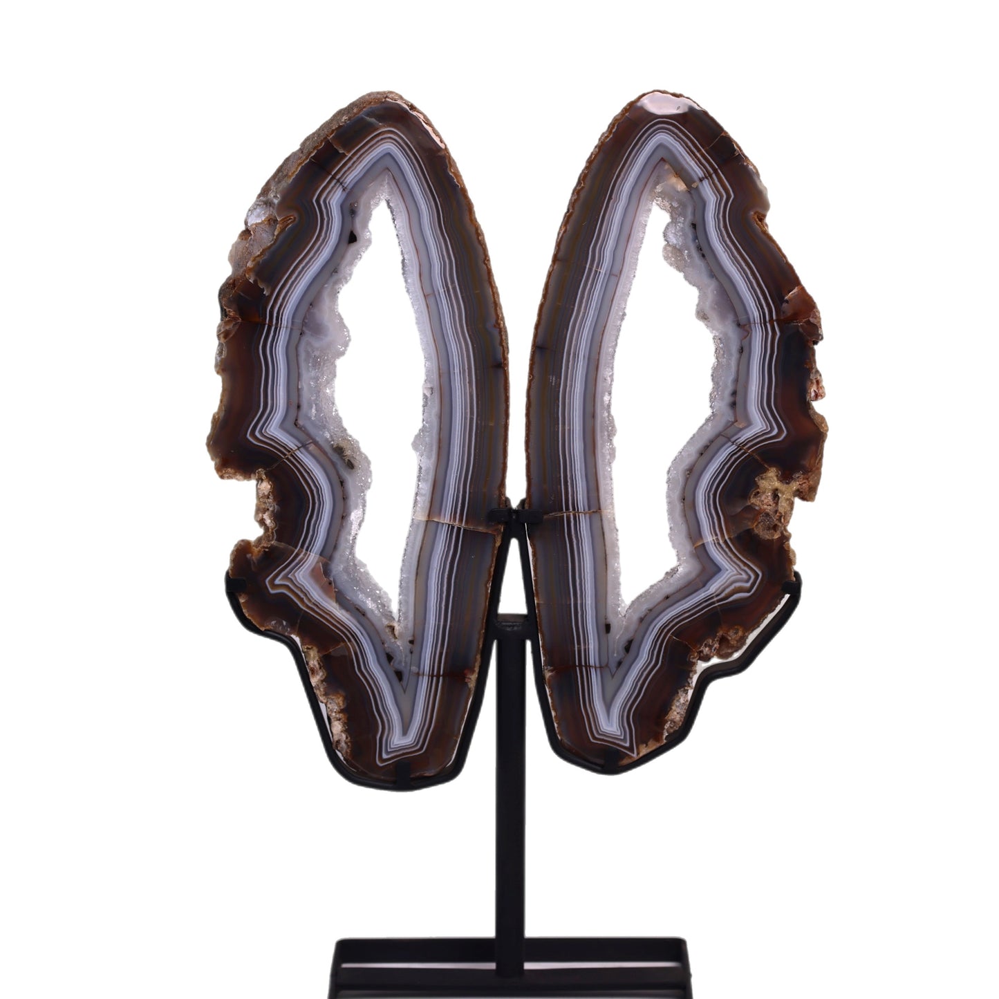 Agate Quartz Butterfly Wings with blue stripes and druzy quartz on white background
