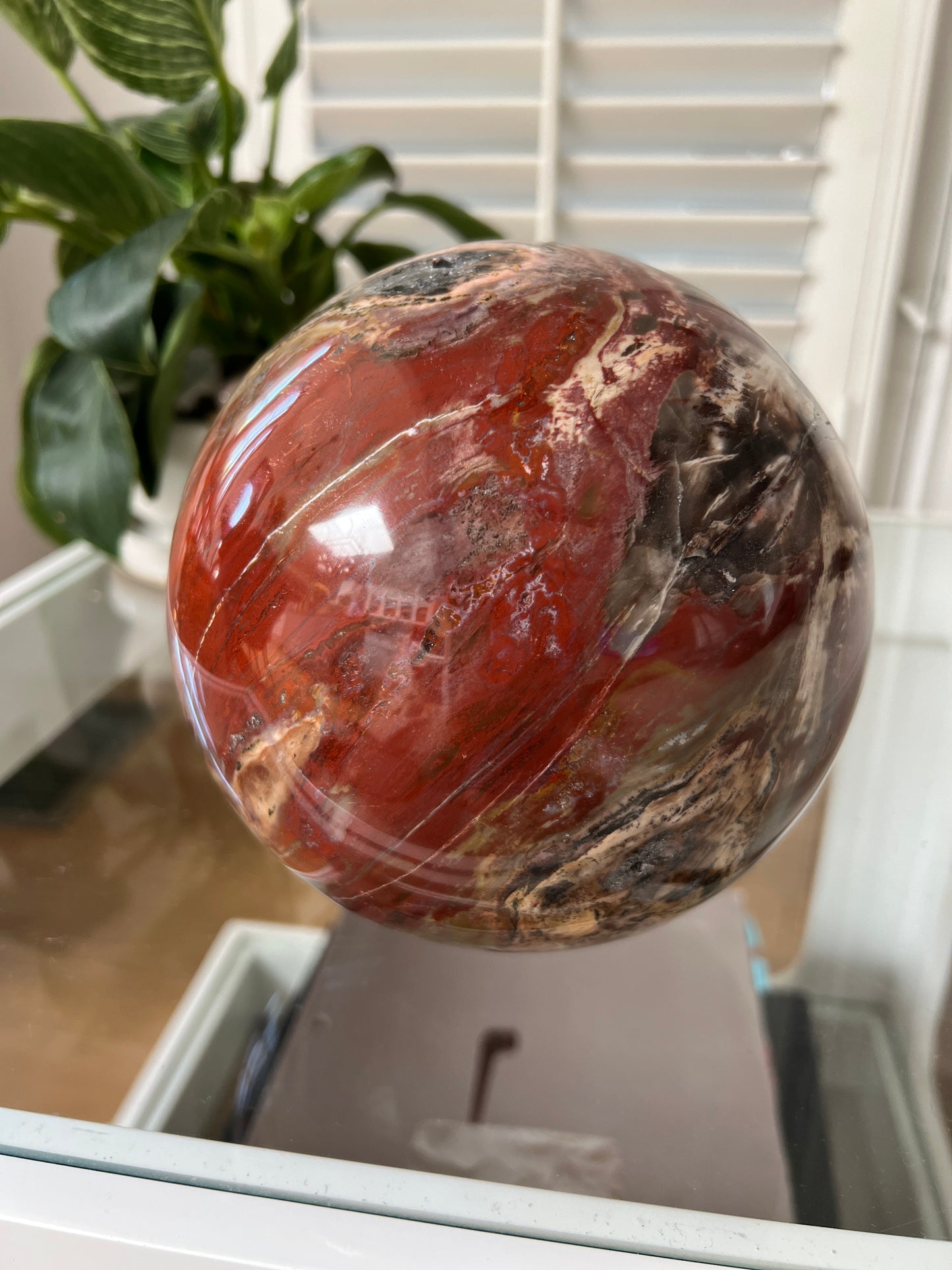 Marbled red and brown petrified wood sphere on a glass surface with a plant in the background
