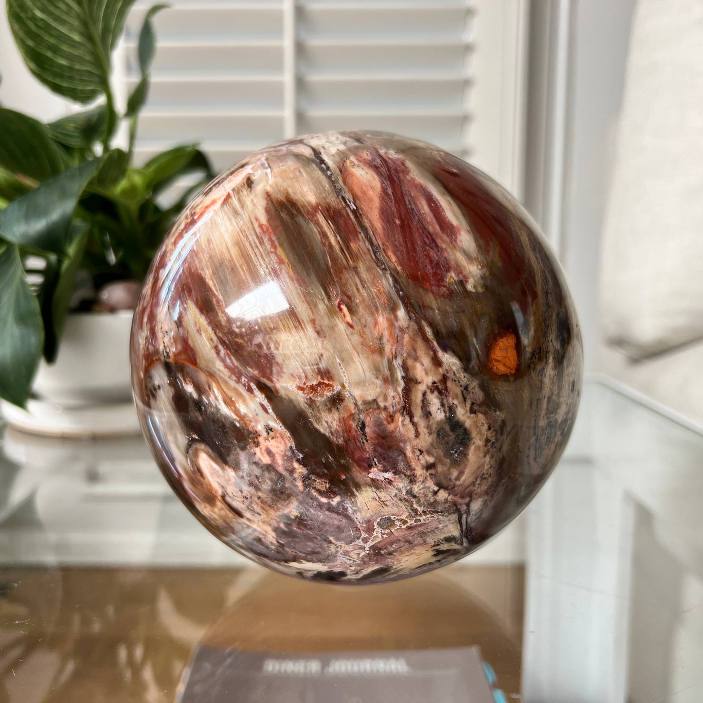 Decorative petrified wood sphere with a natural pattern on a glass surface, with a plant in the background.