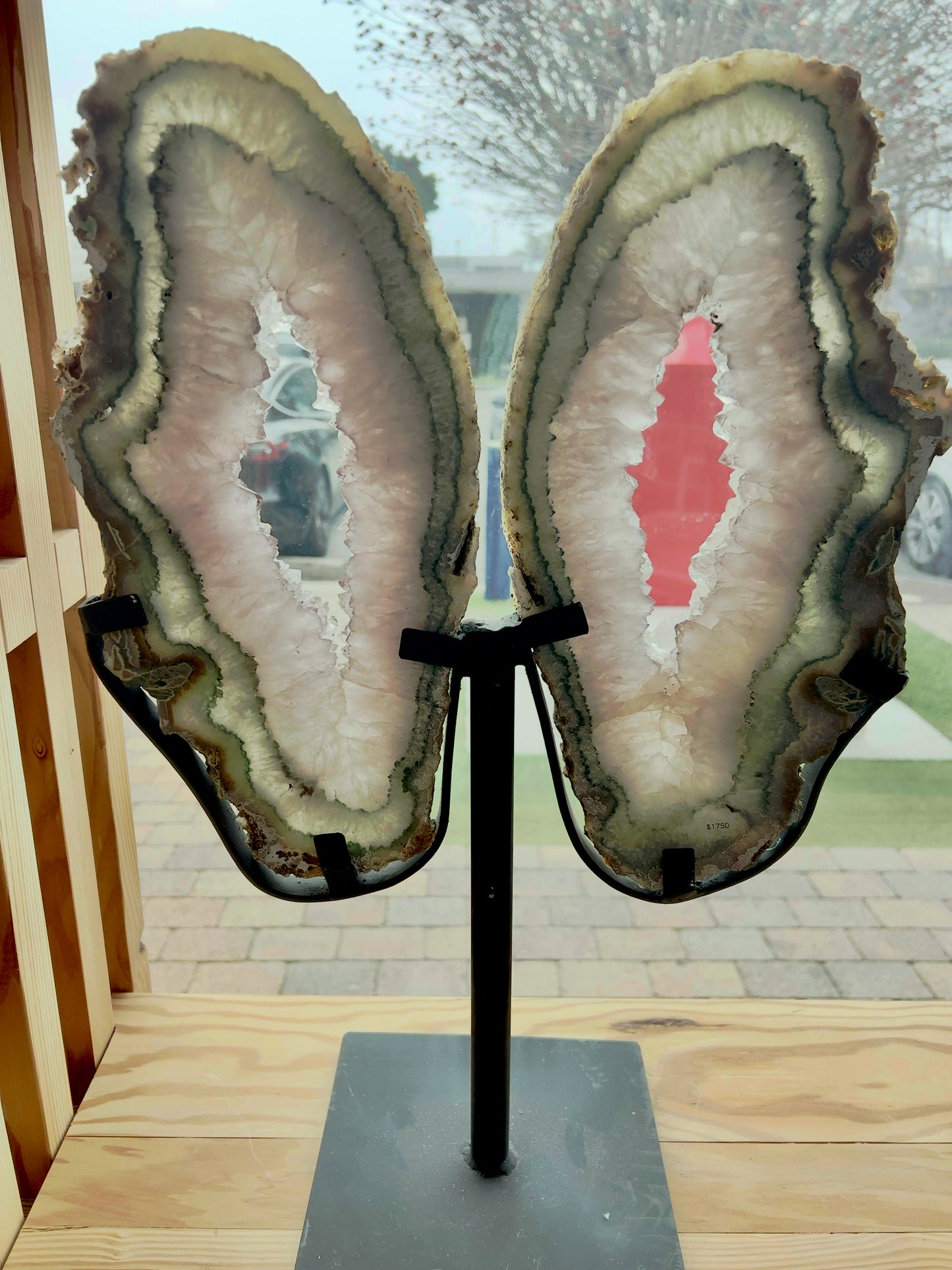 medium agate wings on a black stand in a window