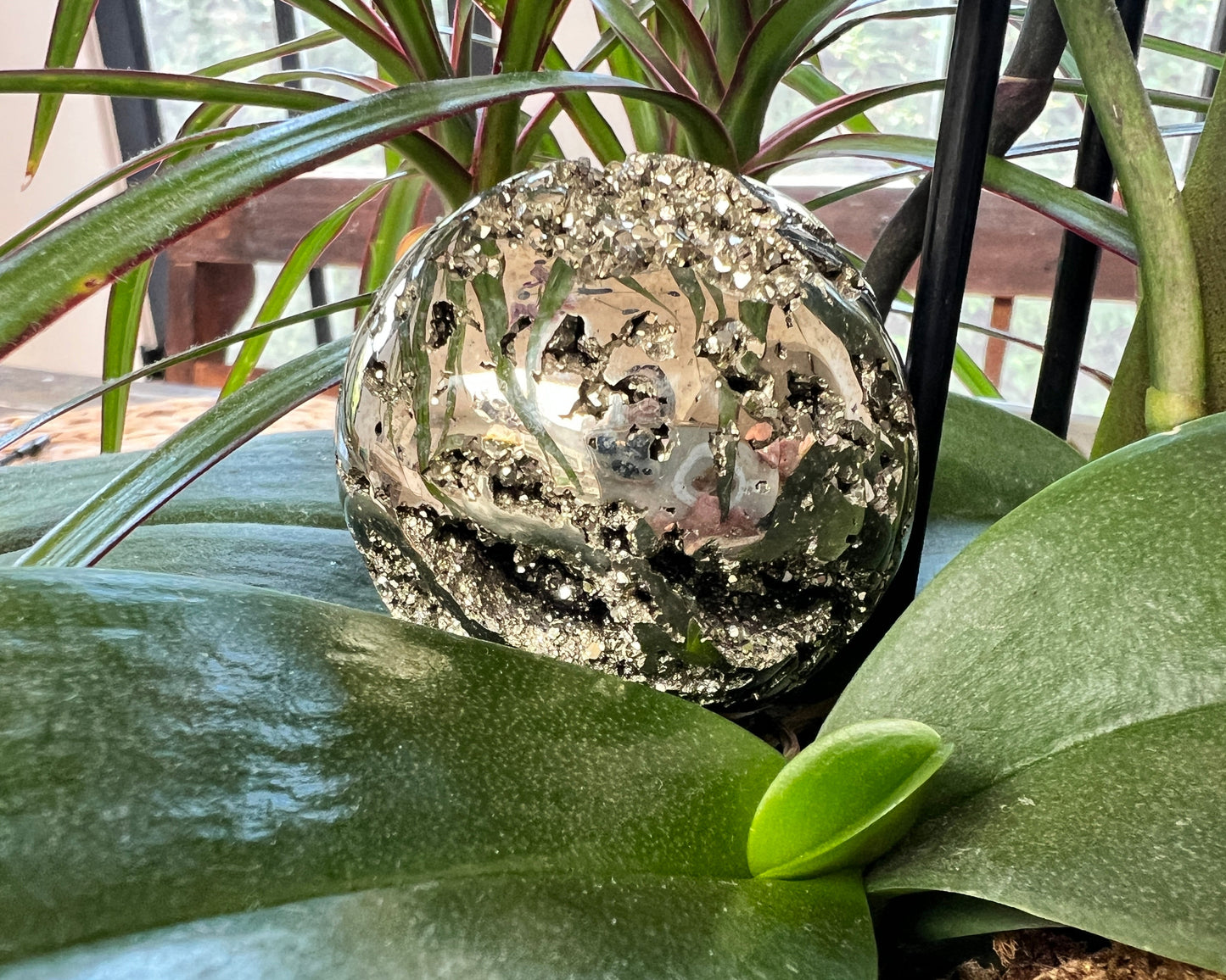 Decorative pyrite sphere among green leaves