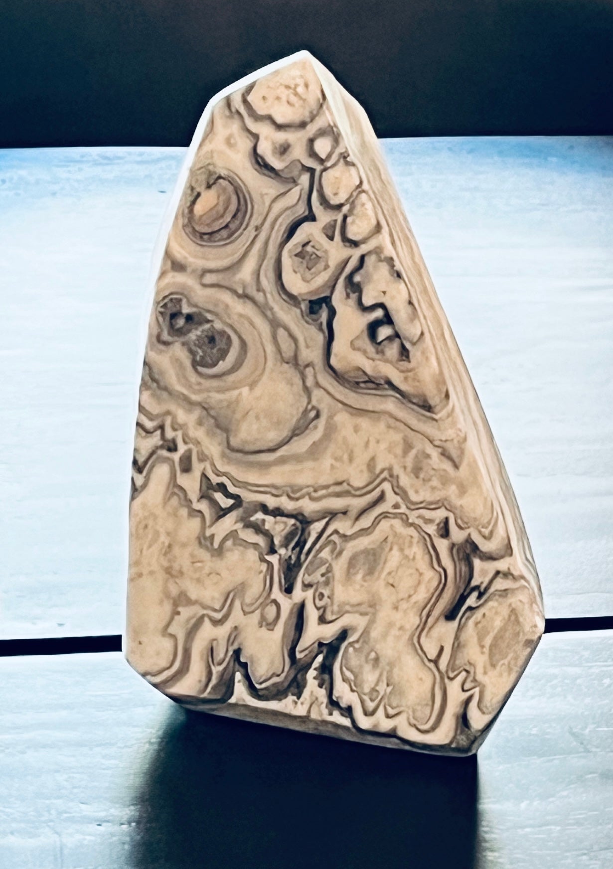 Zebra Onyx Boulder – Polished Black & White Stone Accent from Mexico on dark surface