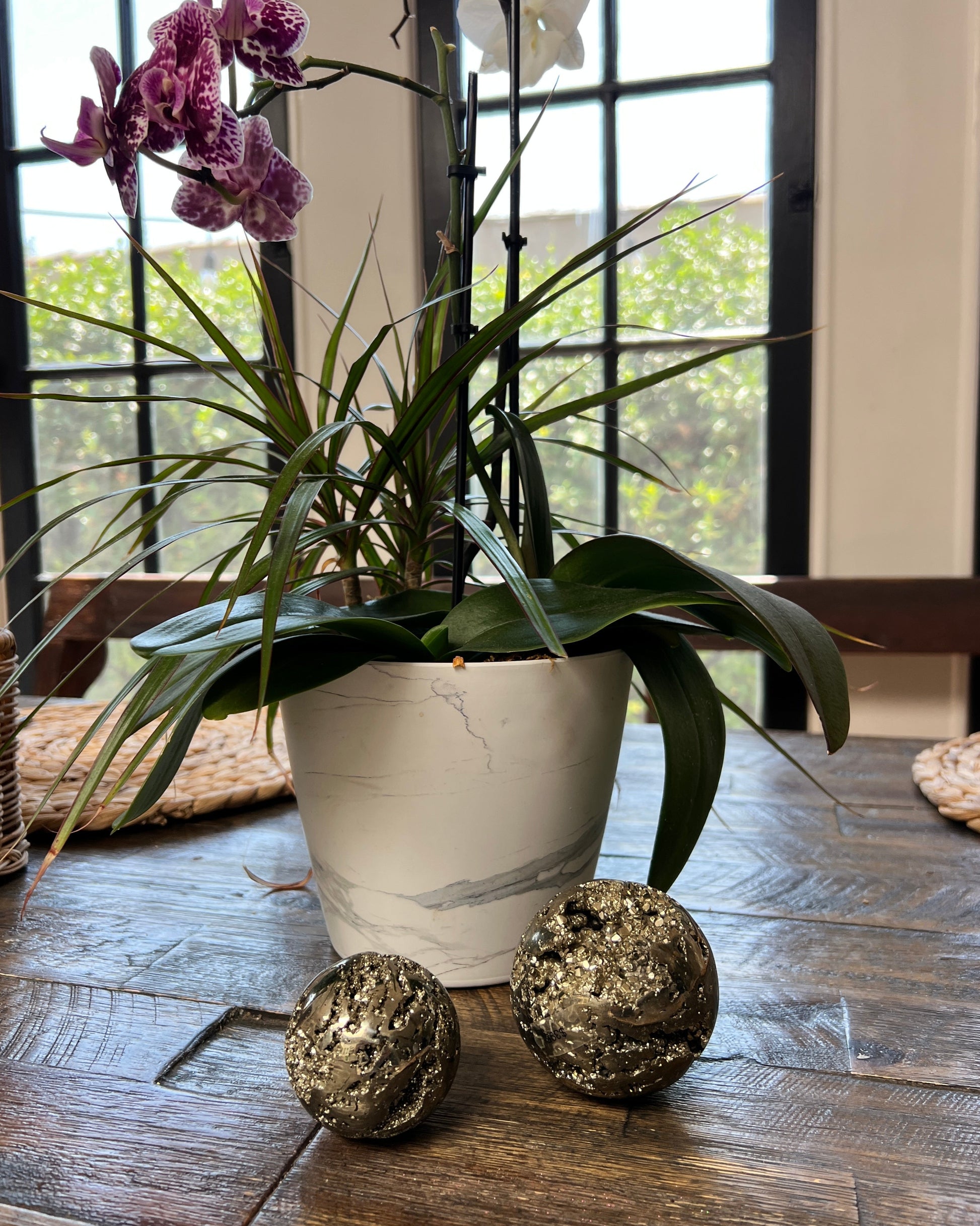 Potted orchid on a wooden table with pyrite spheres and a window in the background