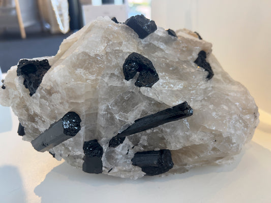 Black Tourmaline in Quartz Cluster