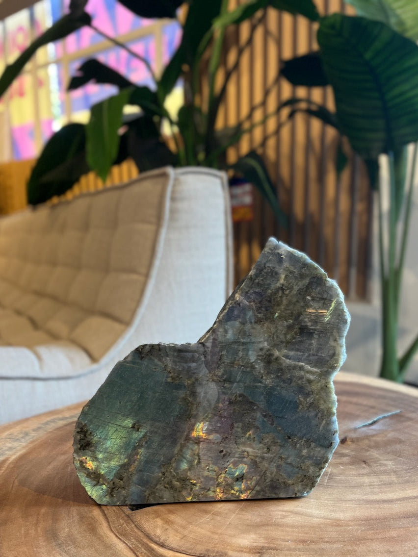 Labradorite specimen on a wooden surface with plants and a couch in the background