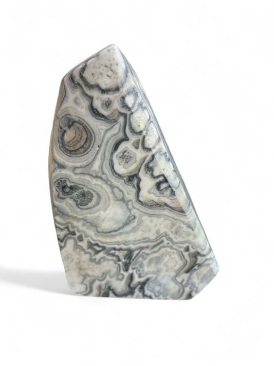 Zebra Onyx Boulder – Polished Black & White Stone Accent from Mexico