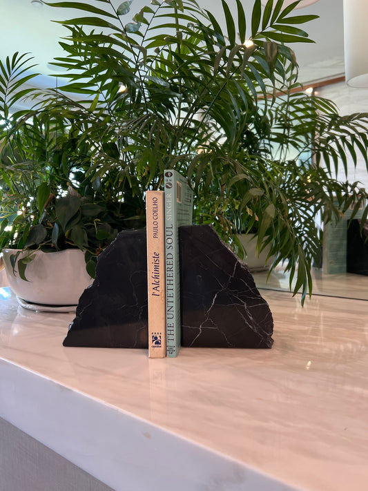 Black onyx bookends with books on a wooden surface, plants in the background