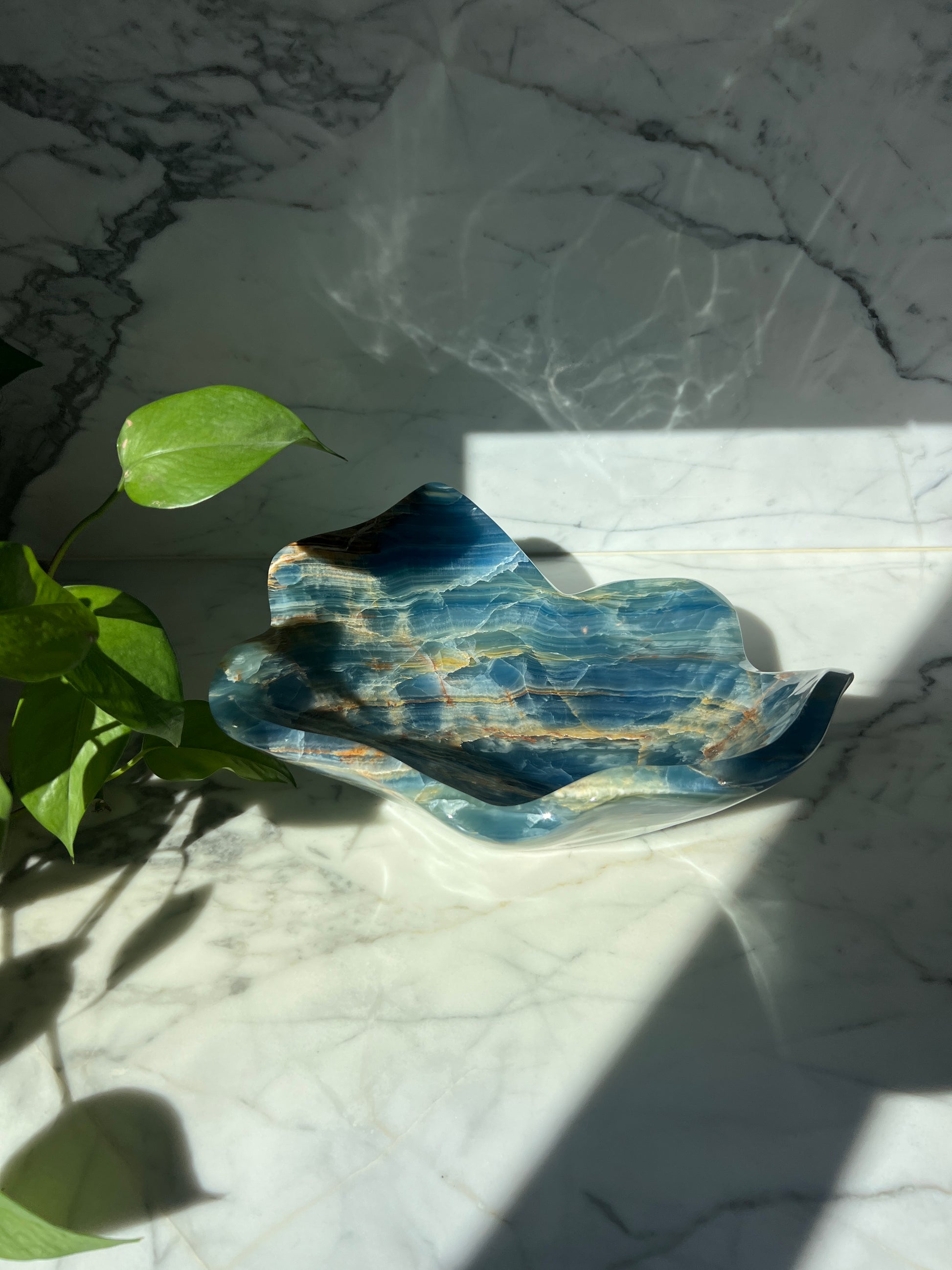 Blue and white onyx dish on a marble surface with a plant