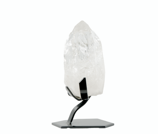 Lemurian on Stand