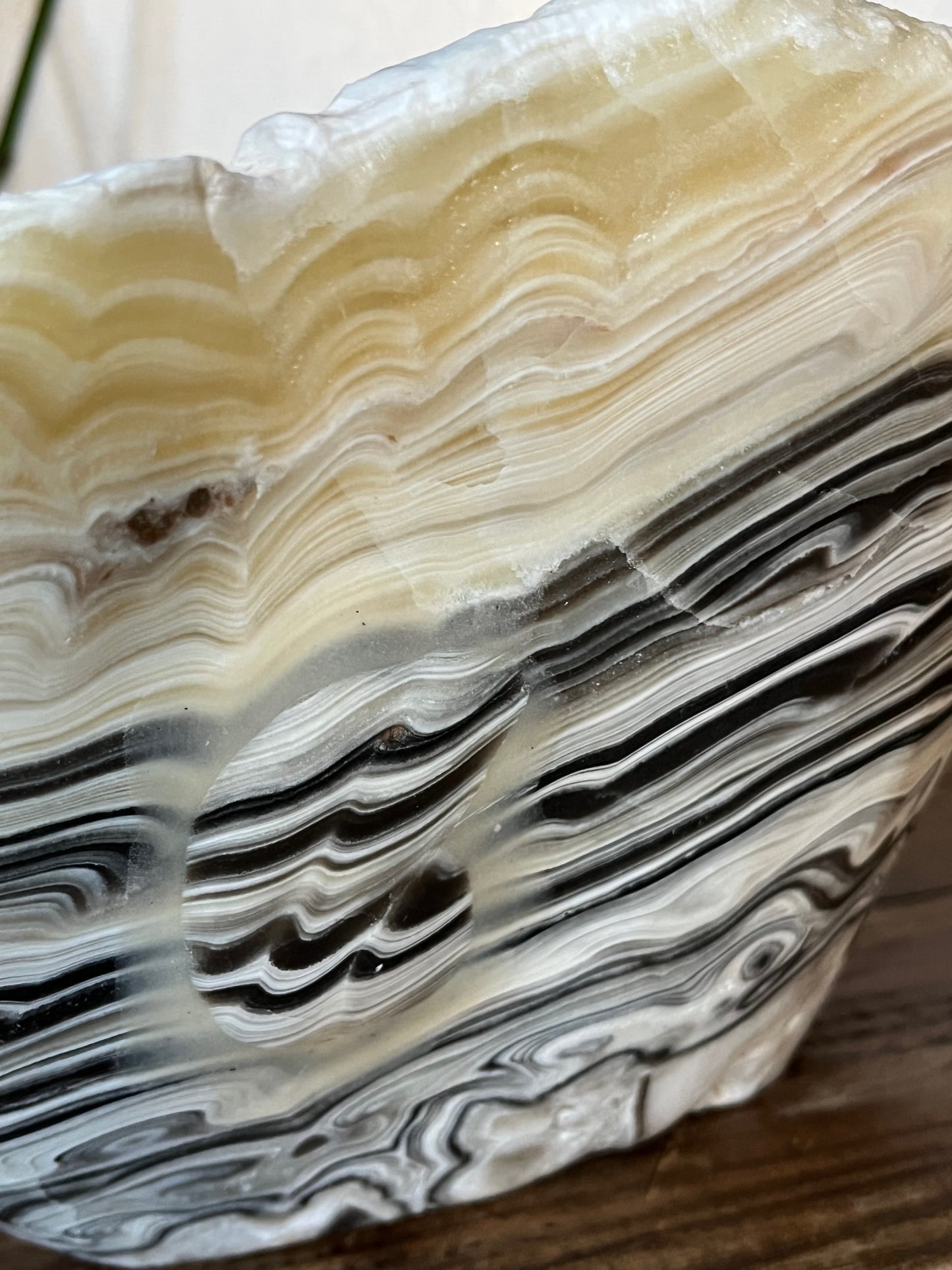 Side profile of zebra calcite stone bowl with free-form edge and layered mineral striations