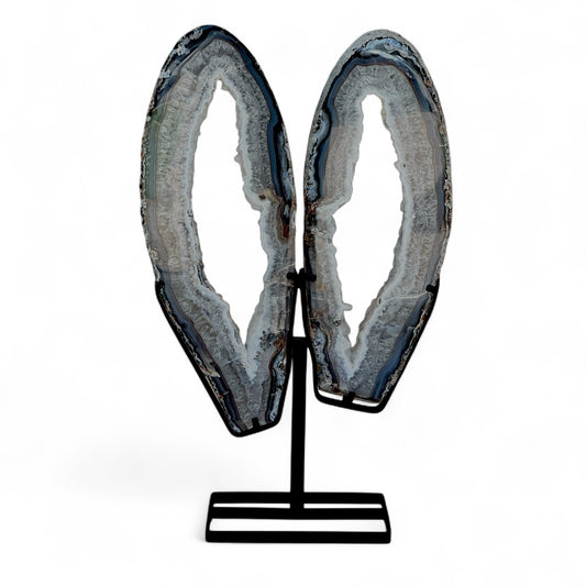 Brazilian Agate Butterfly Wings Statement Crystal with Druzy Quartz Crystallization