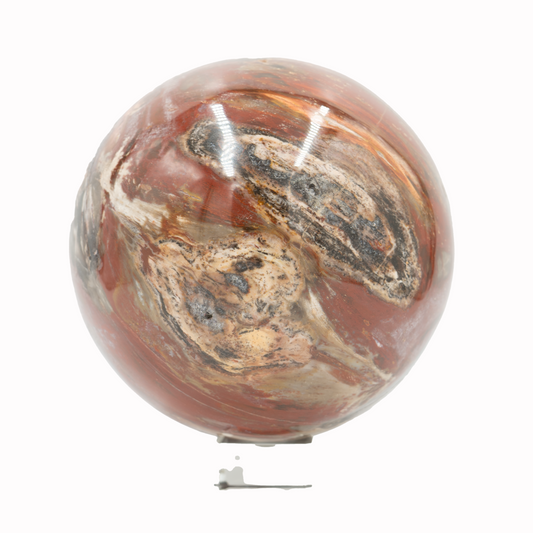 A decorative sphere made of petrified wood with a visible textured surface and natural color variations, mounted on a stand.
