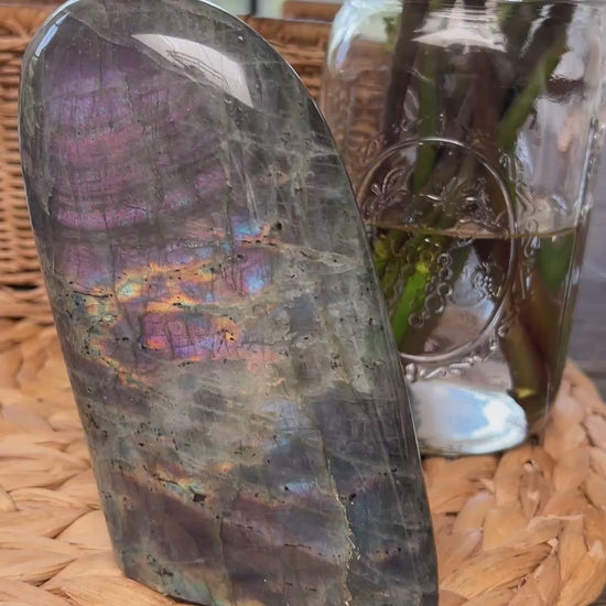 Purple lab video