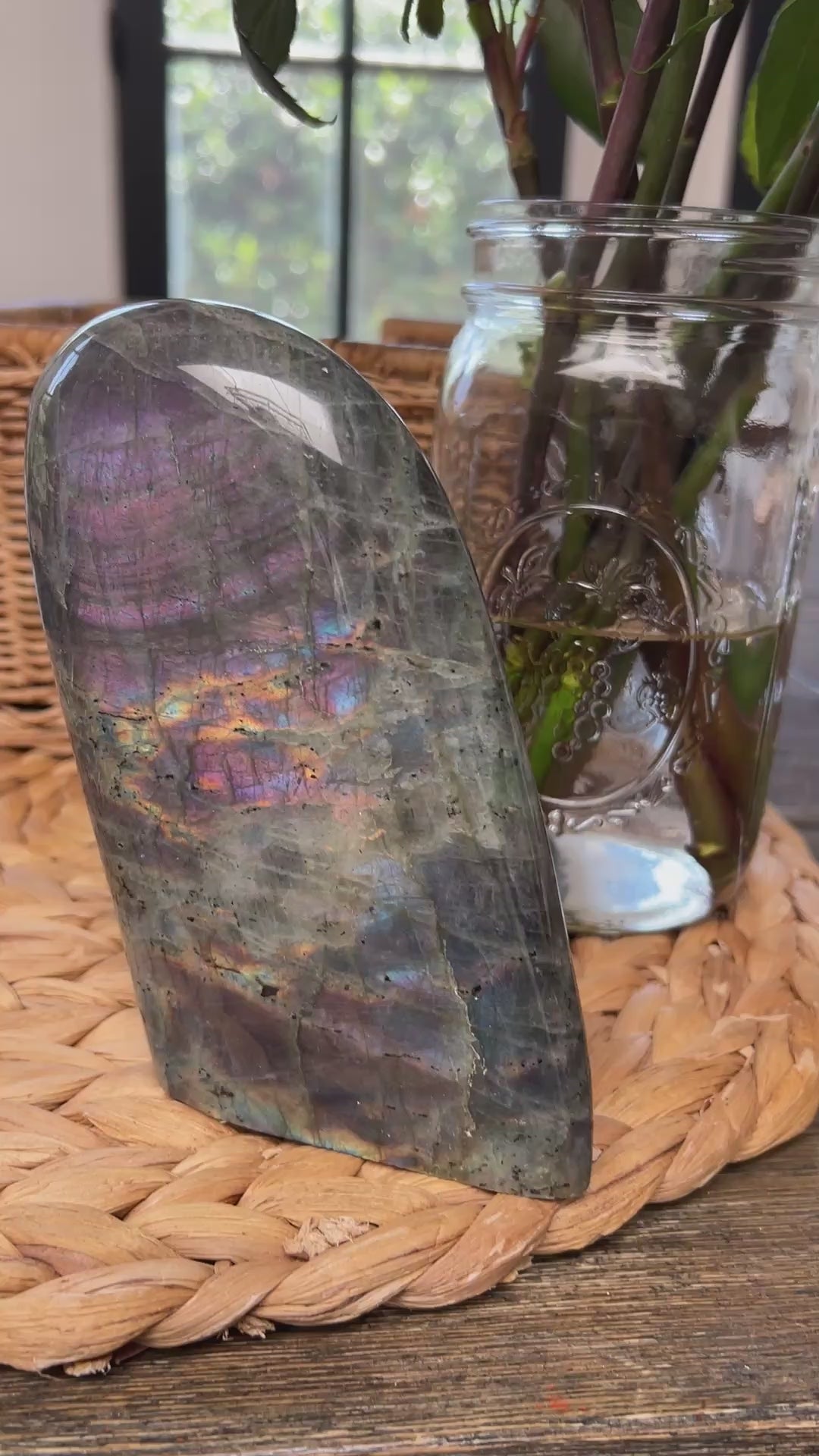 Purple lab video
