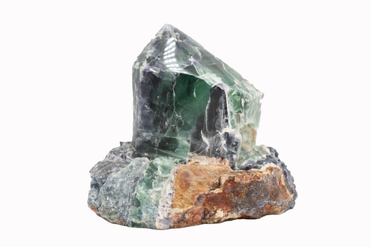 A polished point of fluorite embedded in a natural fluorite base, with a rough, unpolished surface surrounding it.