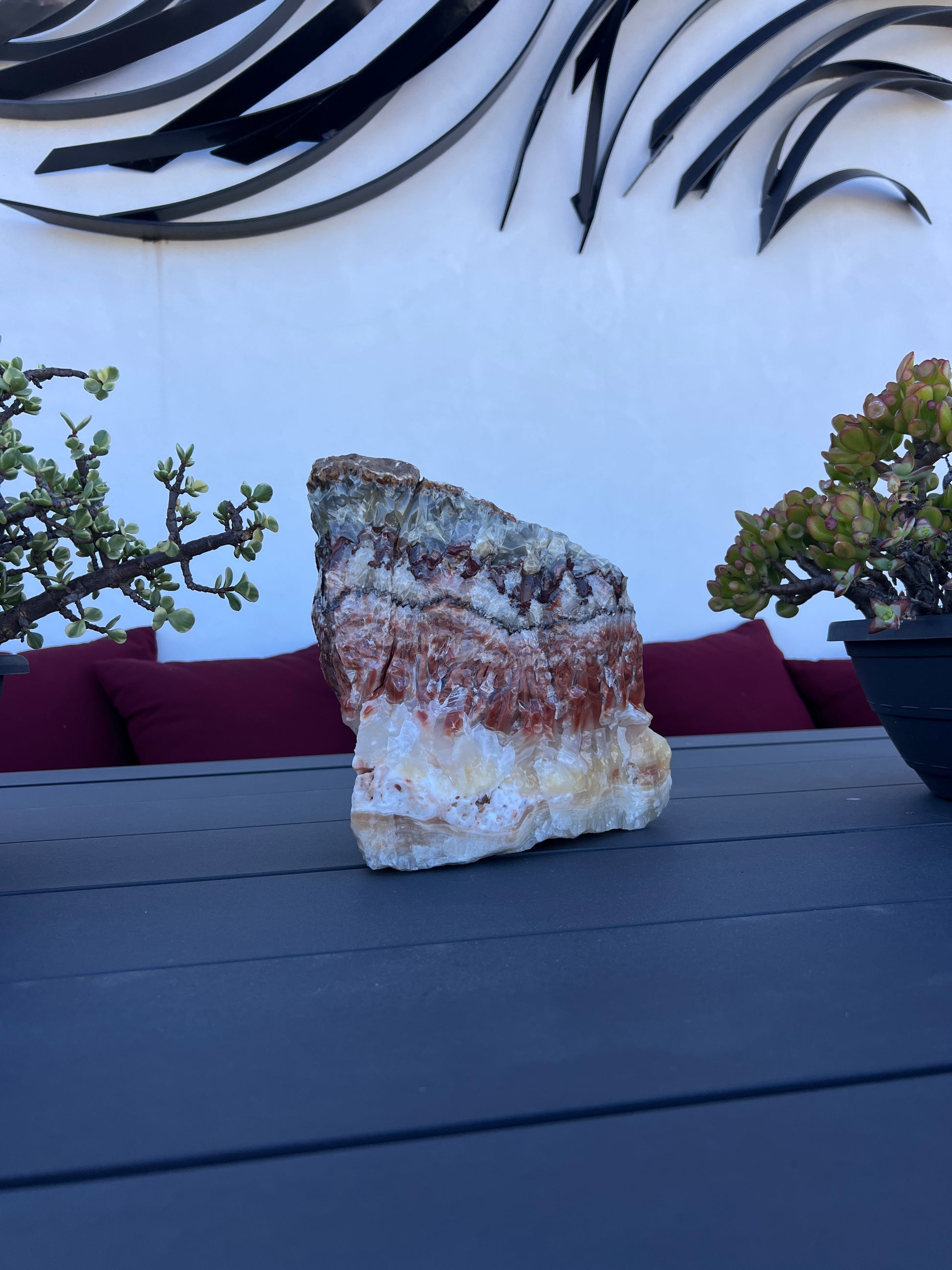 Decorative banded calcite on a table with plants and a white wall in the background