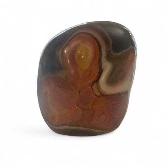 Marbled stone with earthtone colors on a white background