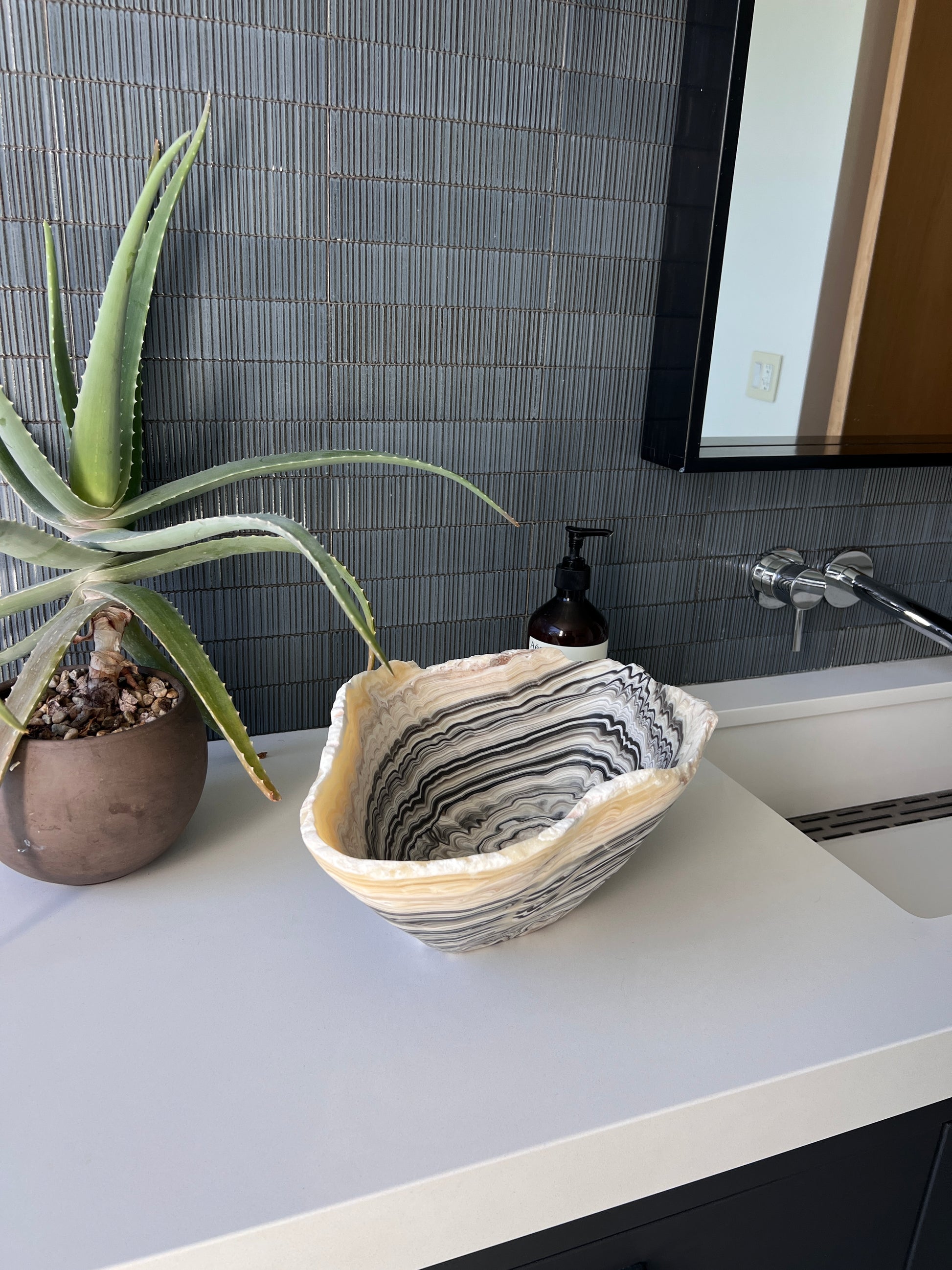 Bathroom counter with a decorative bowl, plant, and soap dispenser.